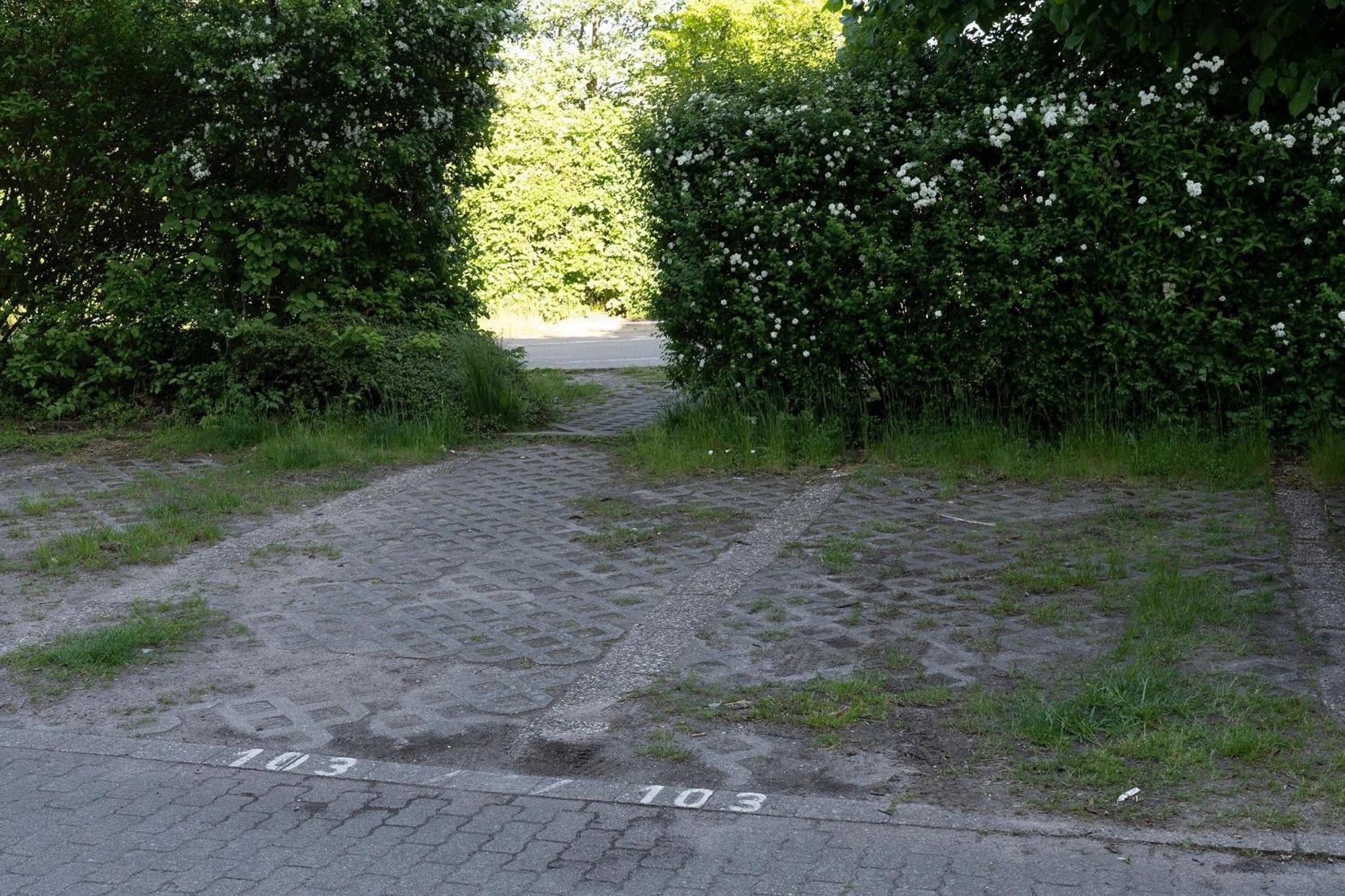 Apartmán Berolina Sonnentau Dahme  Exteriér fotografie